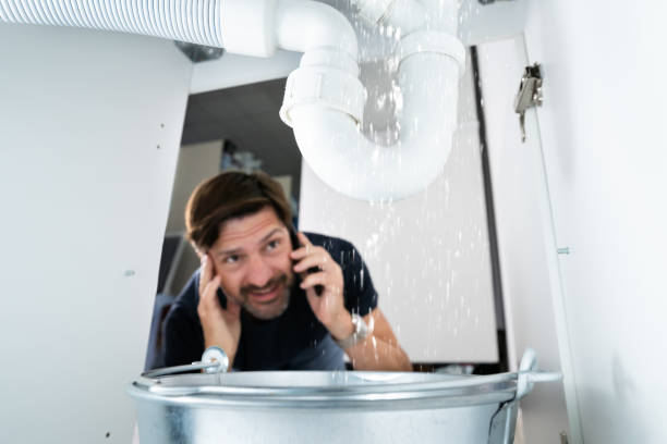 Best Septic Systems  in Bartlett, TN
