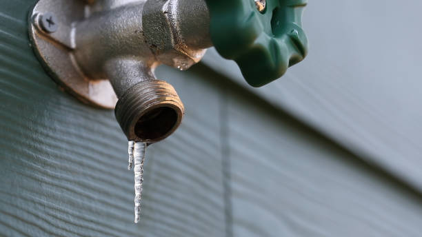 Best Affordable Plumbing Services  in Bartlett, TN